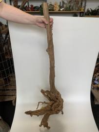 Boutique Stump Selected BS9 - 50x30x124cm