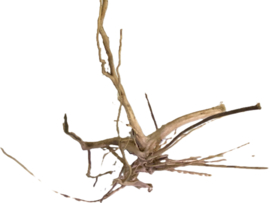 Driftwood Selected DW26 - 45x30x25cm