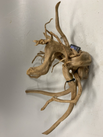 Spiderwood Selected SW109 - 52x28x26cm