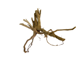 Driftwood Selected  DW45- 38x30x23m