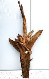 Osaka XL126uniek aquarium decoratie hout  175x85x50cm