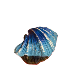 Schelp met luchtaansluiting blauw OS-151 - aquarium decoratie
