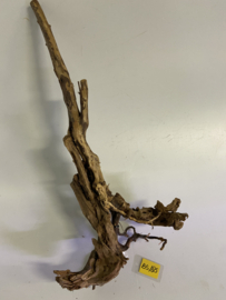Boutique Stump Selected BS185 - 77x37x15m