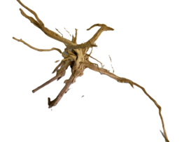 Driftwood Selected  DW55 - 52x30x22cm