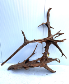 Osaka XL165 uniek aquarium decoratie hout  140x130x40cm