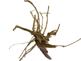 Driftwood Selected DW13 - 55x35x25cm