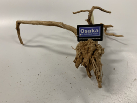 Driftwood Selected DW24 - 39x34x16cm