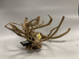 Spiderwood Selected SW109 - 52x28x26cm