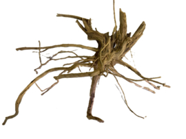 Driftwood Selected DW13 - 55x35x25cm