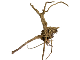 Driftwood Selected DW29 - 45x30x25cm