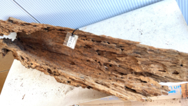 Fine Sinking Wood Selected  FS344 110x35x25 cm