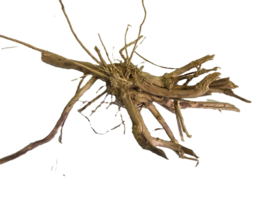 Driftwood Selected DW27 - 45x23x15cm