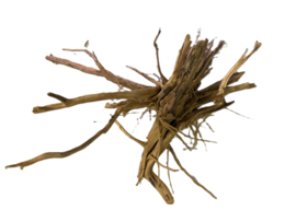 Driftwood Selected  DW44 - 40x20x30cm