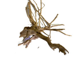 Driftwood Selected  DW42 -50x40x30cm