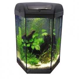 Osaka Hexagon aquarium  60ltr + LED