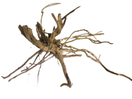 Driftwood Selected DW13 - 55x35x25cm
