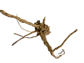 Driftwood Selected DW29 - 45x30x25cm