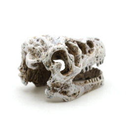 Prehistorische dino schedel OS-281 - aquarium decoratie