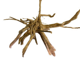 Driftwood Selected  DW48 - 52x48x32cm