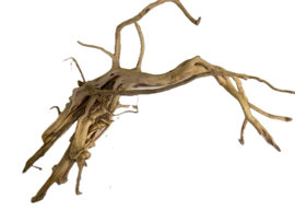 Driftwood Selected  DW47 - 43x25x15cm