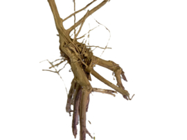 Driftwood Selected DW27 - 45x23x15cm