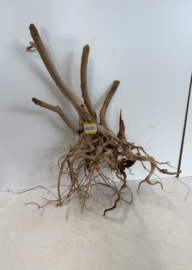 Boutique Stump Selected BS281 - 80x50x32cm