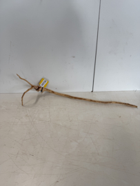 Boutique Stump Selected BS284 - 84x19x16cm
