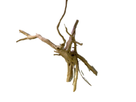 Driftwood Selected  DW51 - 35x20x15cm