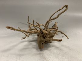 Spiderwood Selected SW106 - 43x26x37cm