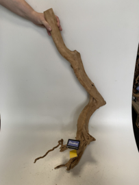 Boutique Stump Selected BS55 - 22x50x92cm