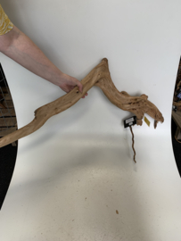 Boutique Stump Selected BS55 - 22x50x92cm