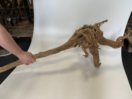 Boutique Stump Selected BS9 - 50x30x124cm