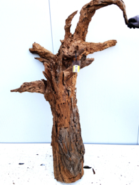 Osaka XL225 uniek aquarium decoratie hout  160x95x55cm