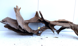 Osaka XL186 uniek aquarium decoratie hout  170x65x35cm