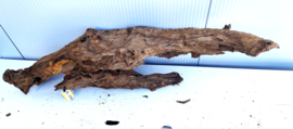 Osaka XL240 uniek aquarium decoratie hout  118x40x20cm