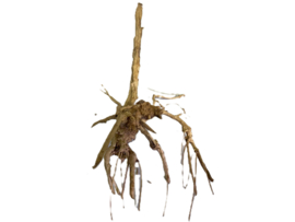 Driftwood Selected DW38- 45x20x15cm