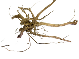 Driftwood Selected dw41 60x28x30cm