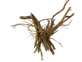 Driftwood Selected  DW44 - 40x20x30cm
