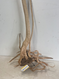 Boutique Stump Selected BS272- 70x32x18cm