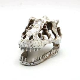 Prehistorische dino schedel OS-281 - aquarium decoratie