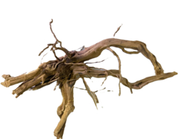 Driftwood Selected  DW53- 40x25x15cm