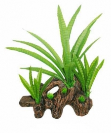 SF Easy Plants Hout Met Microsorium 22cm