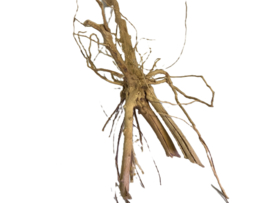 Driftwood Selected  DW49 - 65x30x28cm