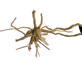 Driftwood Selected  DW48 - 52x48x32cm