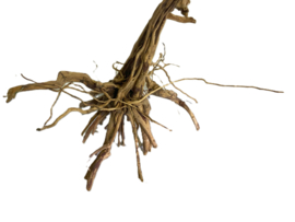 Driftwood Selected DW40 - 40x40x32cm