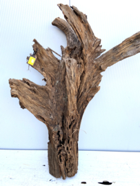 Osaka XL192 uniek aquarium decoratie hout  145x115x40cm