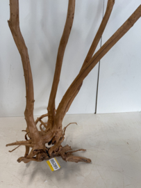 Boutique Stump Selected BS289 - 110x57x46cm