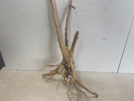 Boutique Stump Selected BS259- 57x40x12cm