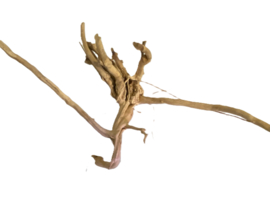 Driftwood Selected DW19 - 55x30x20cm