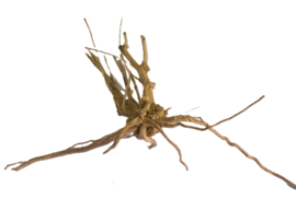 Driftwood Selected DW5 - 55x35x16cm